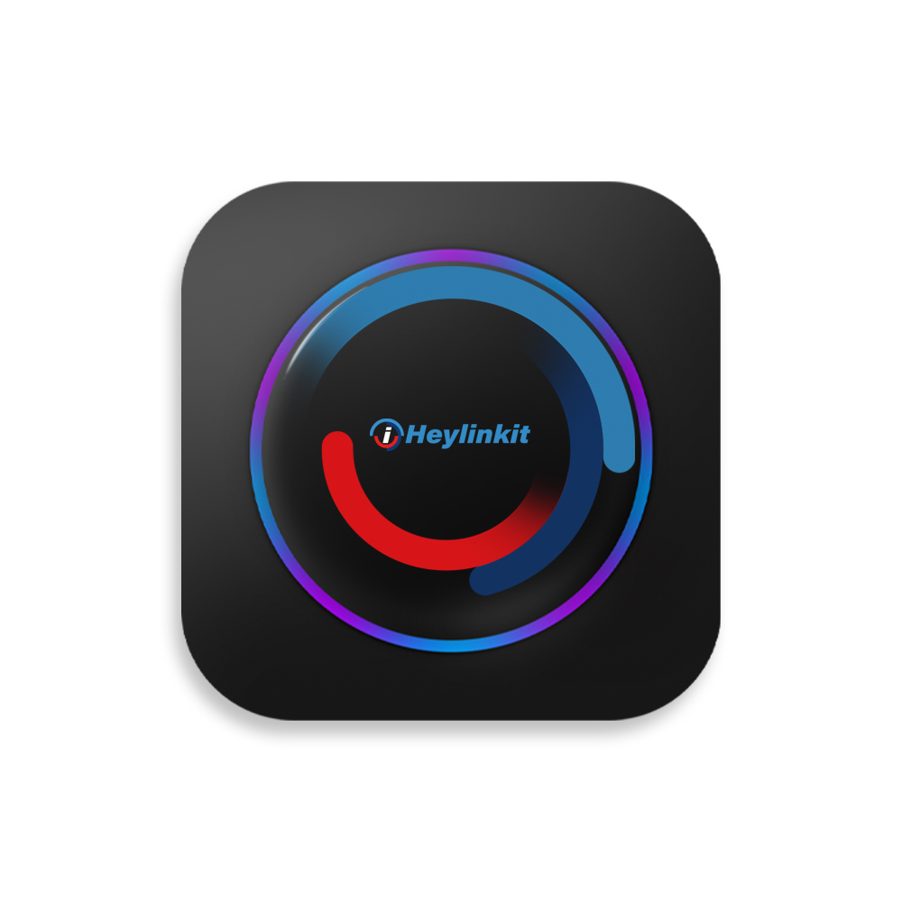 BW550P BMW Carplay Box
